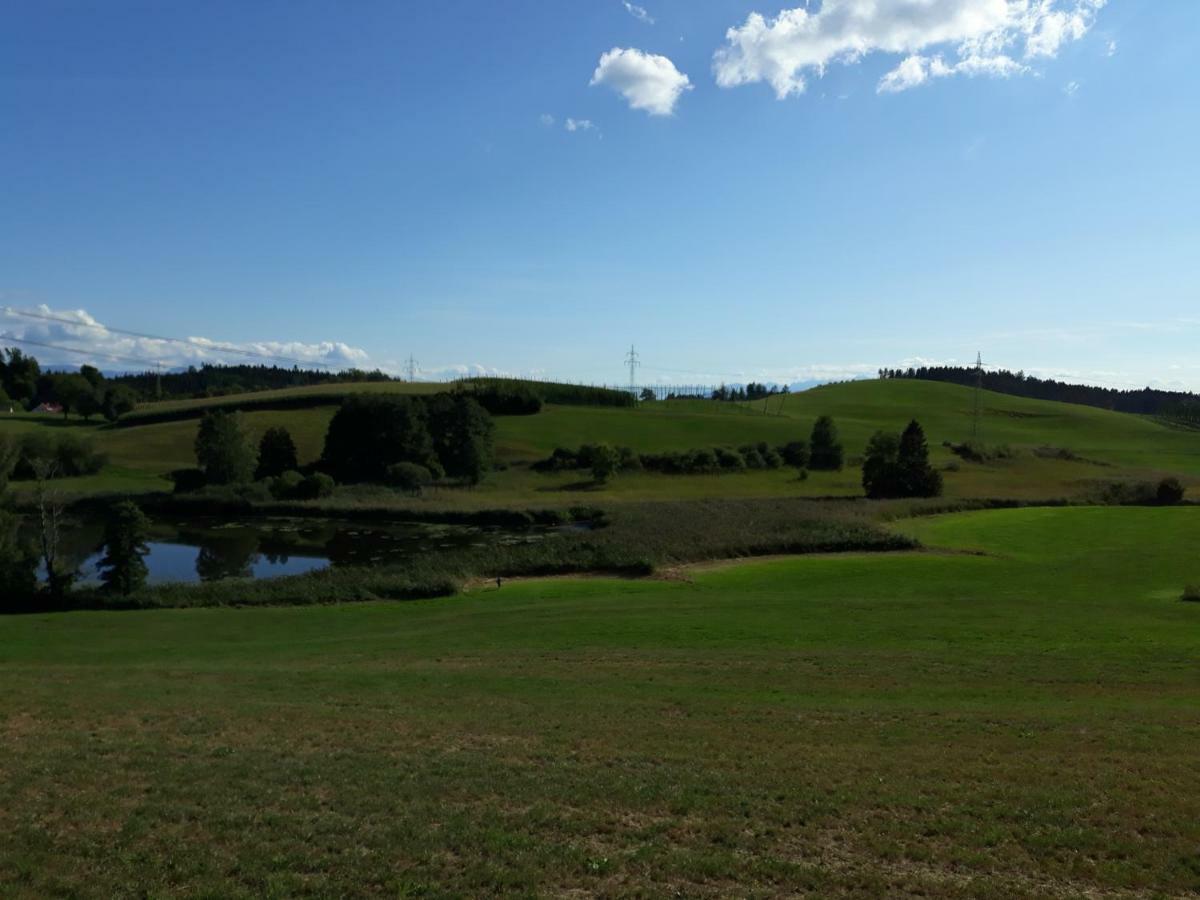 Schoene Einzimmer Wohnung Zwischen Bodensee Und Allgaeu Neukirch  المظهر الخارجي الصورة