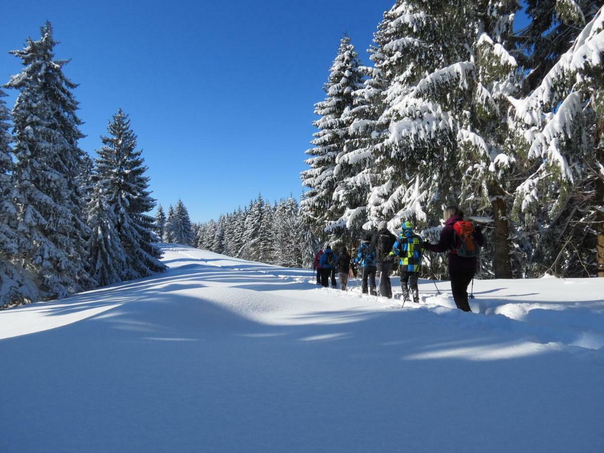 Schoene Einzimmer Wohnung Zwischen Bodensee Und Allgaeu Neukirch  المظهر الخارجي الصورة